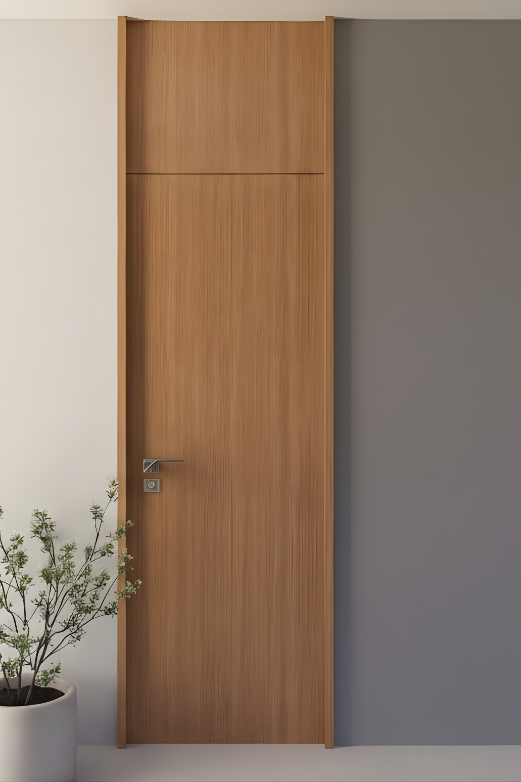 Modern Doors